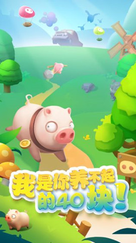 我的肉40块(图2) 我的肉40块(图2)